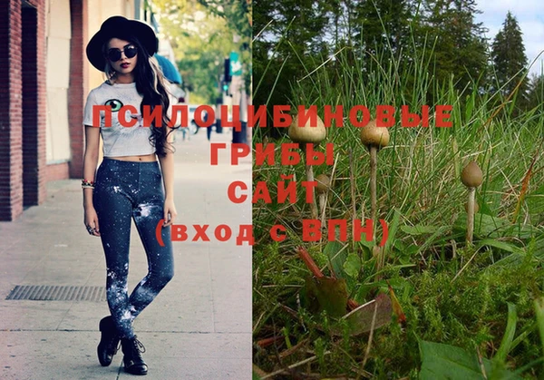 круглые Бородино