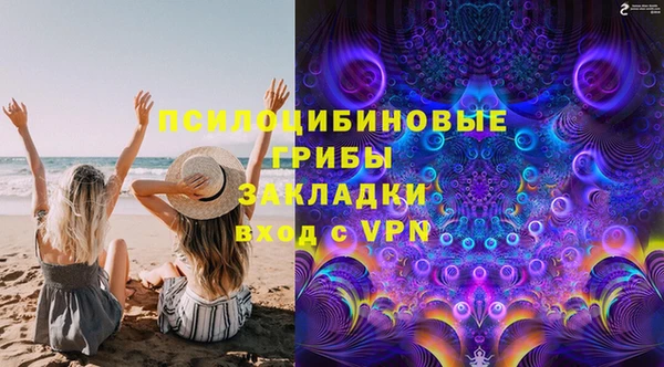 спиды Бронницы
