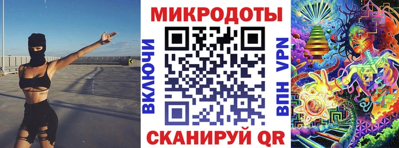 Купить  Заозёрный  Псилоцибиновые грибы Cubensis 